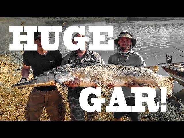 HUGE ALLIGATOR GAR: Trinity River, Texas - Northwoods Angling