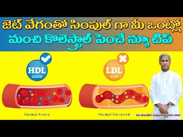 Get Rid of Bad Cholesterol | Increase Good Cholesterol | LDL and HDL | Manthena Satyanarayana Raju