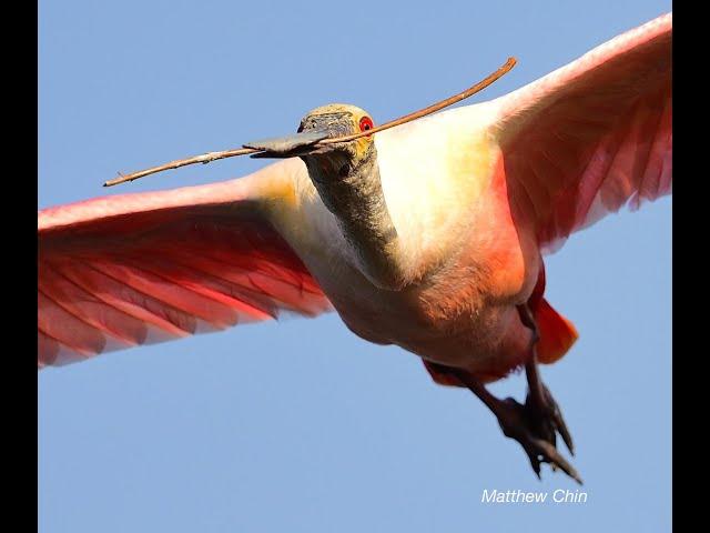2023 Chertok Photo Contest Awards Program by Teresa Williams