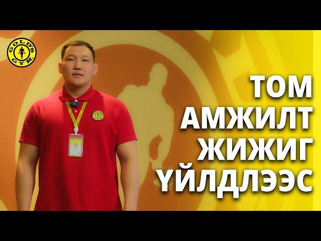 ТОМ АМЖИЛТЫН ЭХЛЭЛ ЖИЖИГ ҮЙЛДЛЭЭС ЭХЭЛДЭГ