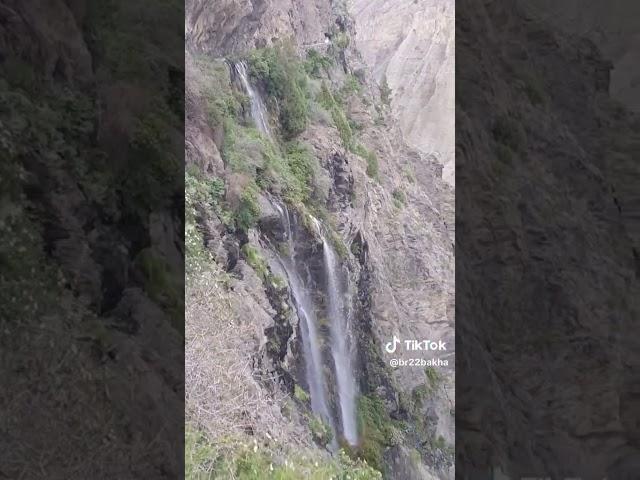 кухистони мастчох