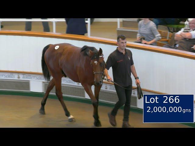 2,000,000gns Frankel Colt: Highest Priced Yearling in Europe in 2023