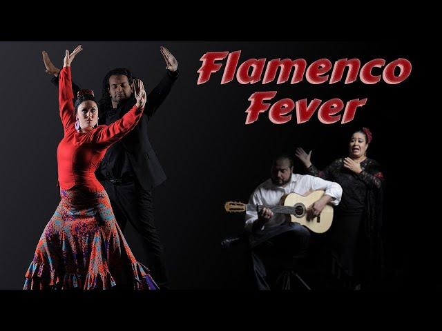 Flamenco Fever heats up Allen Library