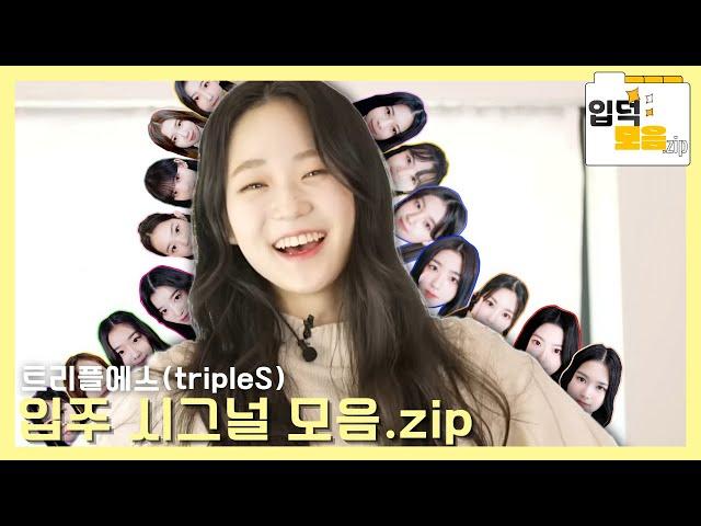 트리플에스(tripleS) 입주 시그널 모음.zip(S1~S16)