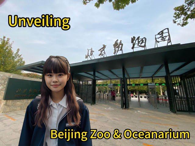 Unveiling Beijing Zoo and Beijing Oceanarium