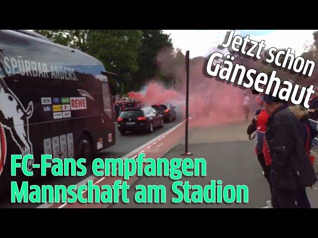 1. FC Köln gegen Mainz 05: Fans empfangen den Mannschaftsbus vor dem RheinEnergieStadion