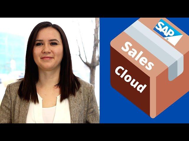 IBsolution Starter Package for SAP Sales Cloud