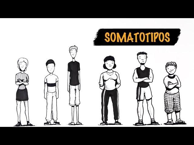 O Seu Tipo de Corpo Define o Treino que Você Deve Fazer? | Autoridade Fitness