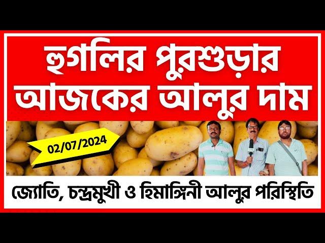 02/07/2024 : হুগলির পুরশুড়ার আজকের আলুর দাম | Today's Potato Price in Purshura - India Potato News