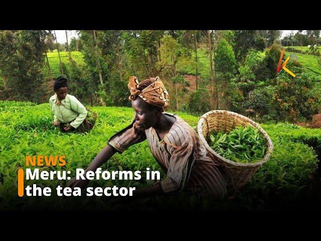 Meru Tea Farmers and Industry Managers Protest Removal of Reserve Price