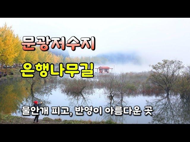 괴산 문광저수지 | 가을여행 버킷리스트 | 은행나무길 | 물안개 | 낚시테크 | 반영 | landscape photography |4k|