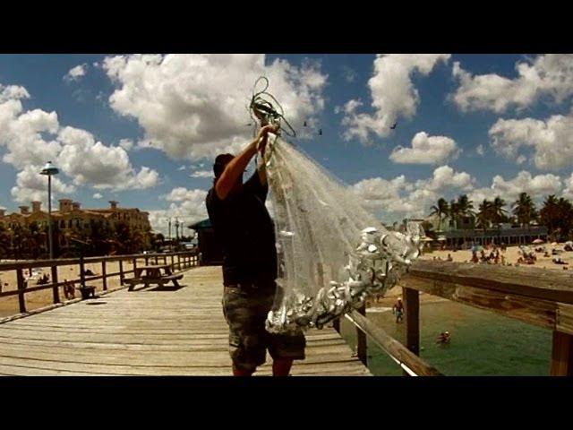 Cast Netting Pilchards!