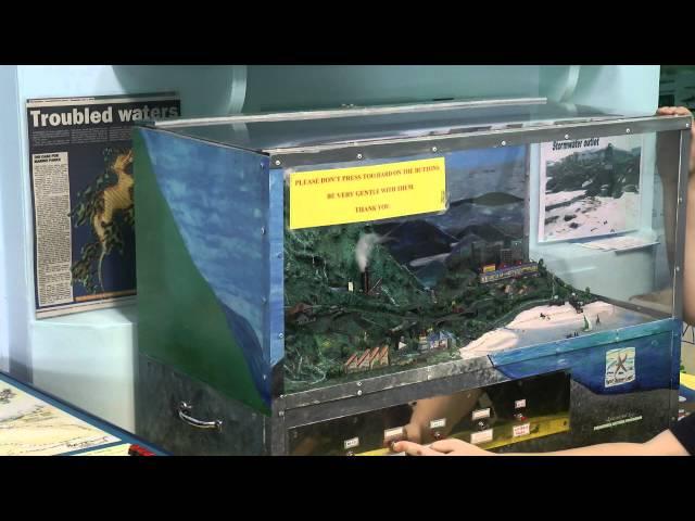 Marine Discovery Centre Virtual Tour