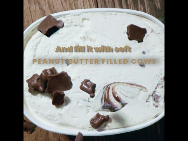 Peanut Butter Tilly Tracks – A Sweet & Salty Scoop of Ohio Goodness!