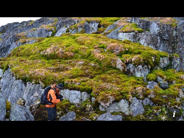 Greening Rates in both Antarctica and the Arctic are Accelerating as Global Warming Spikes Upwards