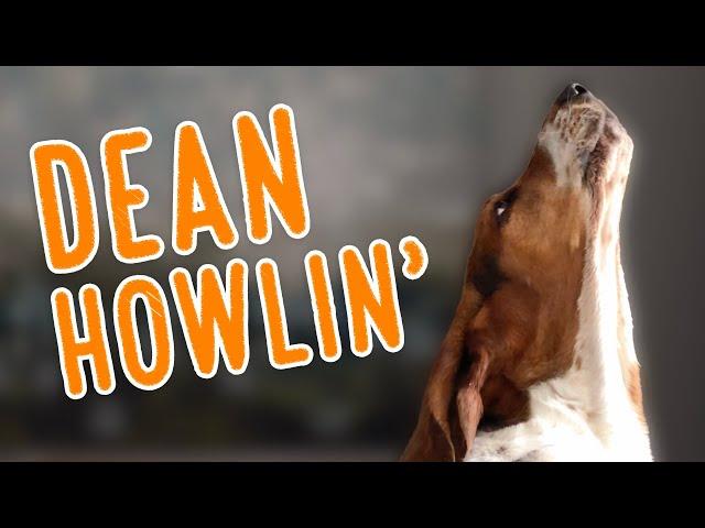 Dean HOWLIN'! 2020 Howling Compilation