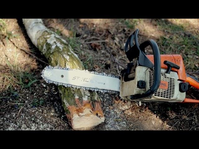 chainsaw steel model 5800