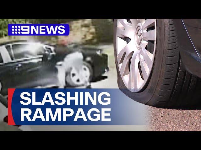 Tyres slashed by mystery man in Sydney rampage | 9 News Australia