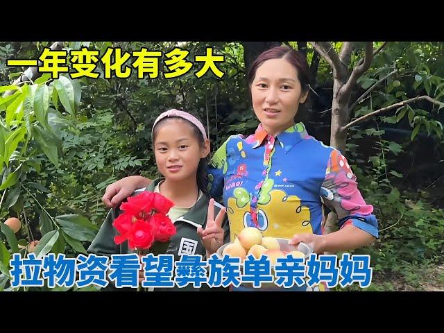 Buy two pigs and a cart of supplies for the Dashan Huahua family! Yi single mother with three child