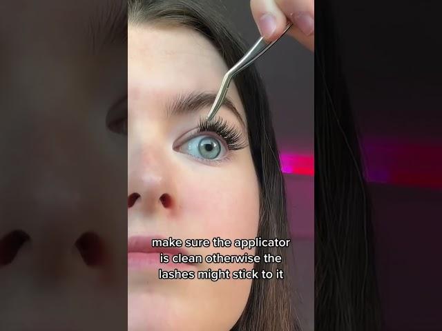 How to apply lashes | lash tutorial