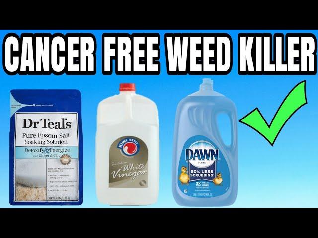 Eco-Friendly Weed Control [DIY with Household Items]  How to Make an Organic Weed Killer at Home