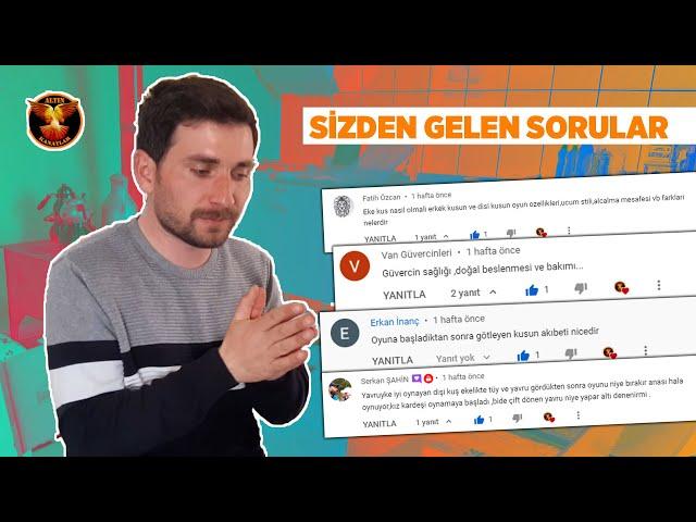 Güvercin üzerine oldukça faydalı bilgiler / Güvercin ve kuşçuluk / ALTIN KANATLAR