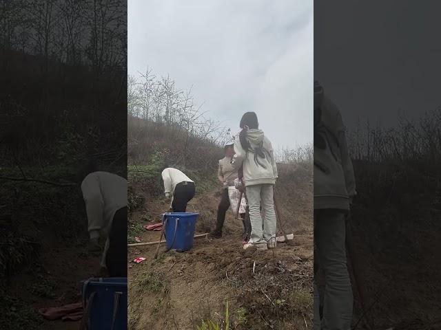 [04End]_ #记录我们的农村生活 又到春耕的季节了 #幸福乡村春耕季 #情感