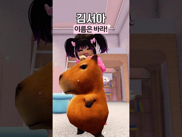 만약 카피바라를 키운다면?