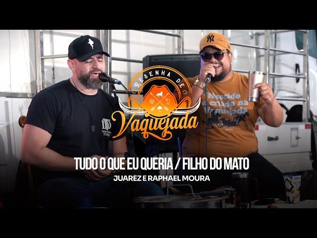 Tudo O Que Eu Queria / Filho do Mato - Juarez, Raphael Moura