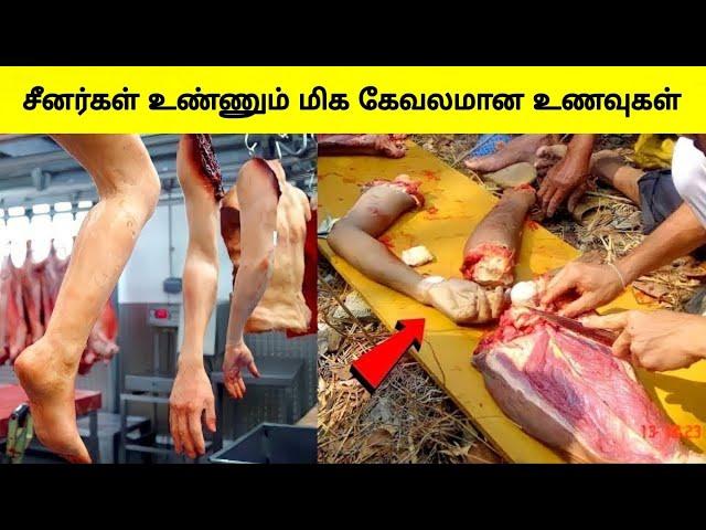 சீனர்கள் உண்ணும் மிக கேவலமான உணவுகள் | 10 Most Unusual Chinese foods | Tamil Wonders