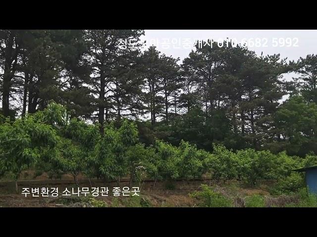 청도 가456 참한땅 참한가격 청도 유등지 인근 주말농장 컨테이너 힐링지 1025m² 310평 매매 1억3처5백