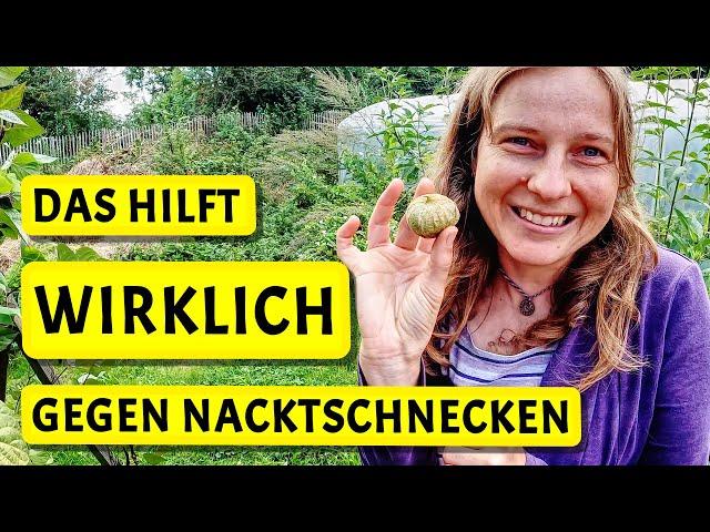 Mein Tip: Nacktschnecken loswerden - für immer!