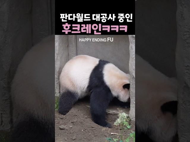 어디까지 땅을 파는거야 후이야!ㅋㅋㅋㅋㅋㅋㅋㅋㅋㅋㅋ 판월 대공사 중인 아기 후크레인