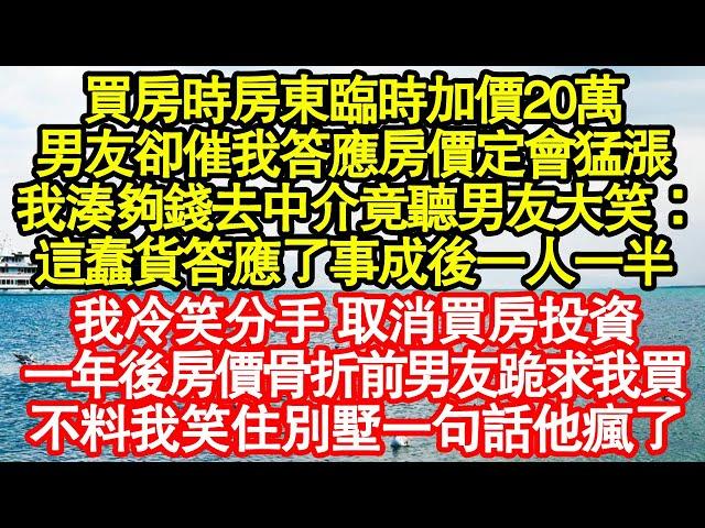 買房時房東臨時加價20萬，男友卻催我答應房價定會猛漲，我湊夠錢去中介竟聽男友大笑：這蠢貨答應了事成後一人一半，我冷笑分手 取消買房投資，一年後房價骨折前男友跪求我買真情故事會||老年故事||情感需求