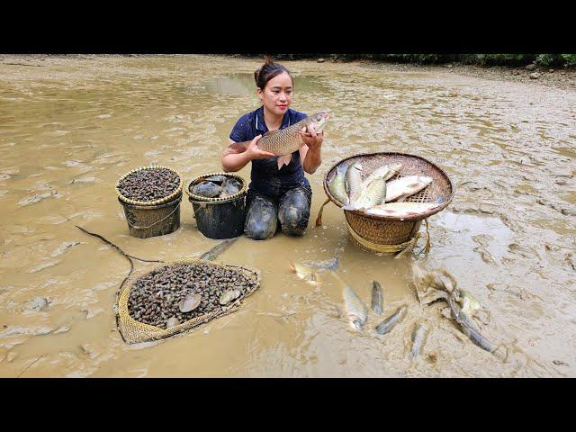 180 Days: Harvesting Fish, Ginseng Root, Scallion Garden, Ginger & Vegetables goes to market sell.