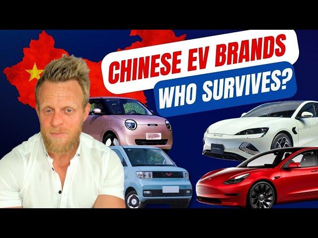 Special Chinese EV manufacturers report 2024 - winners and losers in China