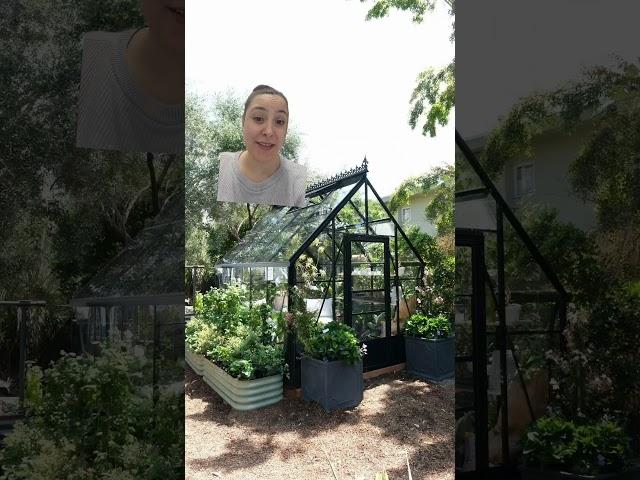 Gable Attached Greenhouses from BC Greenhouse Builders #shorts #greenhouse