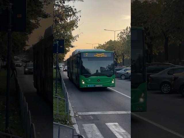 Autobuz articulat MB Conecto tranzitând Bd. Pădurilor pe linia 7 (Rm. Vâlcea)