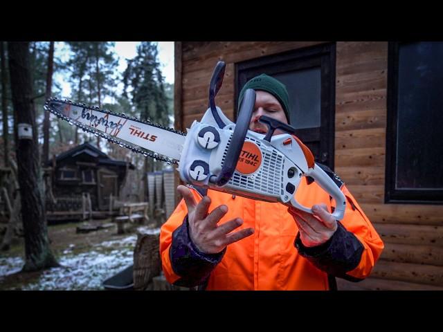 New chainsaw for carving - Stihl MS 194c