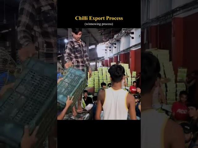 ️ Chilli Export #ChilliExport #KDSushma #ExportImport #InternationalTrade