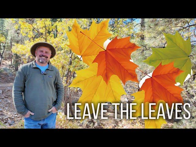 Leave the Leaves - 5 Minute Friday