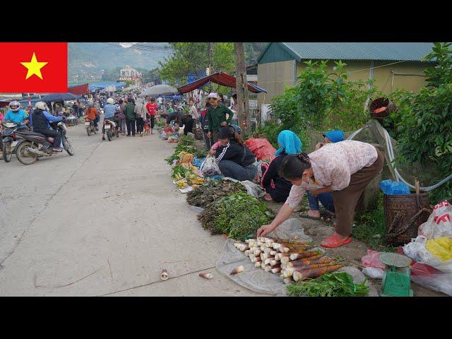 Exploring Lũng Vân Highland Market in Vietnam – What's Special on Every Market Day?