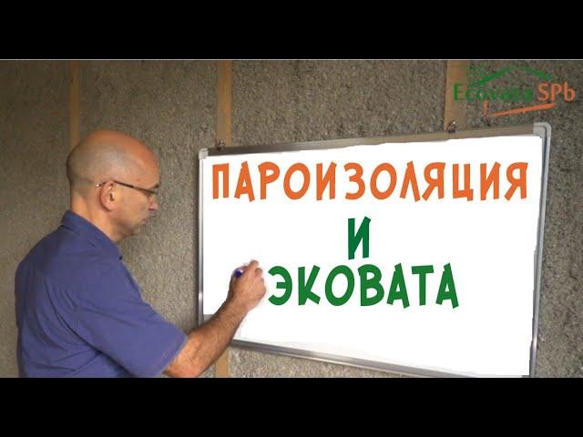 Пароизоляция для эковаты. Нужна или нет?