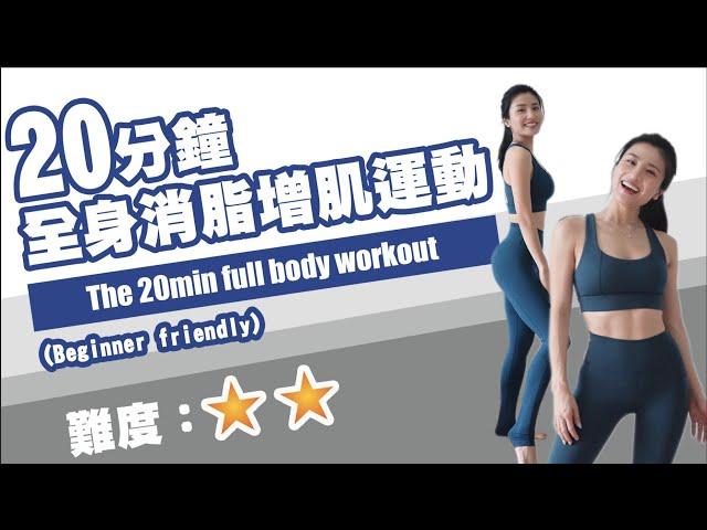 The best 20min full body workout (Beginner friendly)