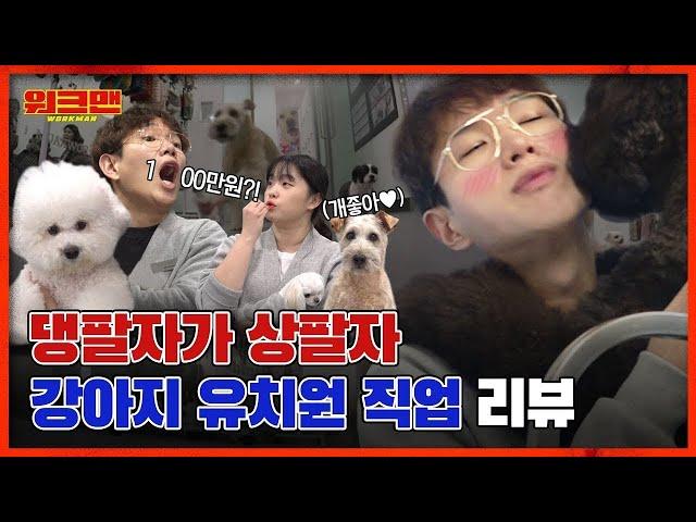 ※Once you click on this video, there's no escape※ Doggy Daycare Reviewㅣworkman ep.38