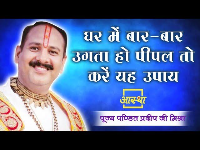 घर में बार-बार उगता हो पीपल तो करें यह उपाय ।। Pt. Pradeep Mishra Ji ।। Aastha Channel