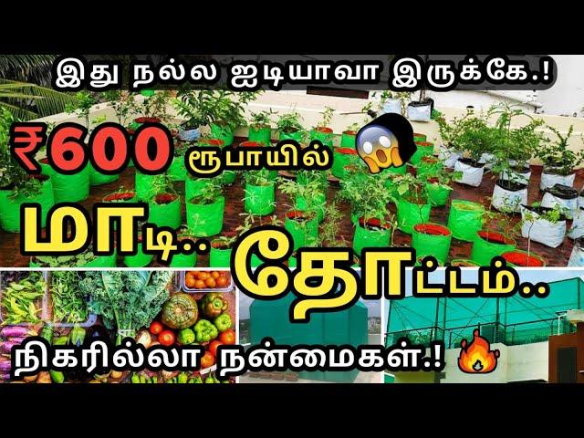 பட்டய கெளப்பும் மாடித்தோட்டம் | கட்டாயம் தெரிஞ்சுக்கோங்க | Start a 𝐒𝐢𝐦𝐩𝐥𝐞 𝐓𝐞𝐫𝐫𝐚𝐜𝐞 𝐆𝐚𝐫𝐝𝐞𝐧 -Ideas