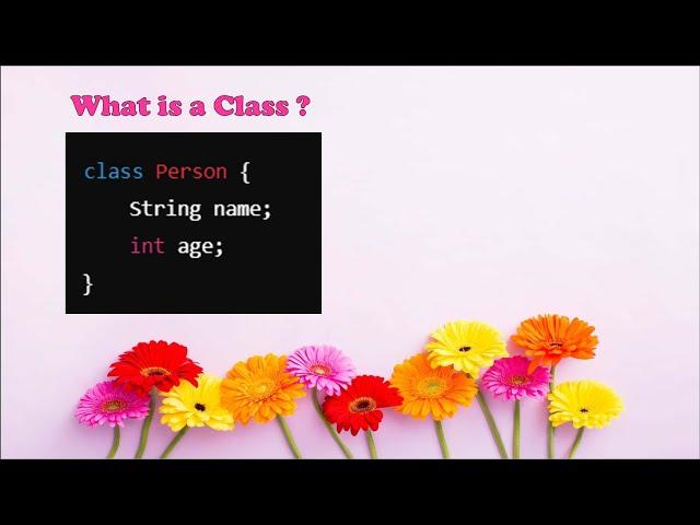 Basics of Classes in JAVA | Programming | interview preparation | Object Oriented Programming | DSA