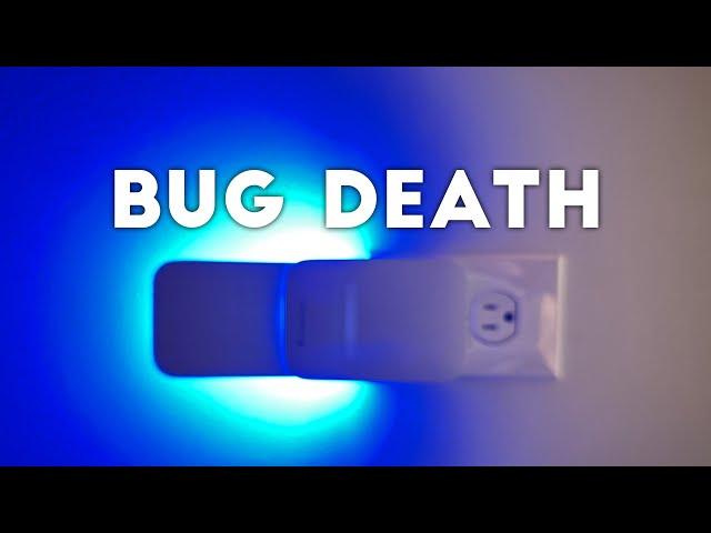 Cheap Plug-In Bug Killing Night Light