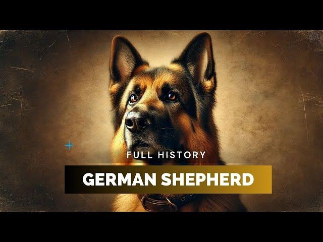 German Shepherd - Full History